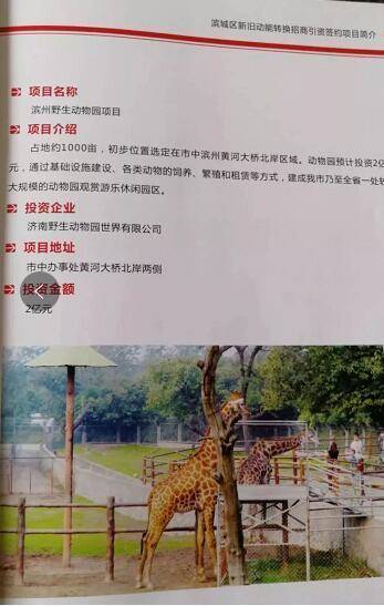 厲害了我的大濱州，15個(gè)招商引資項(xiàng)目集中簽約！